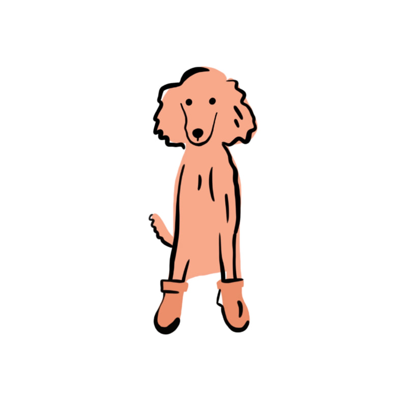 Digital drawing of a salmon coloured poodle wearing pink boots.