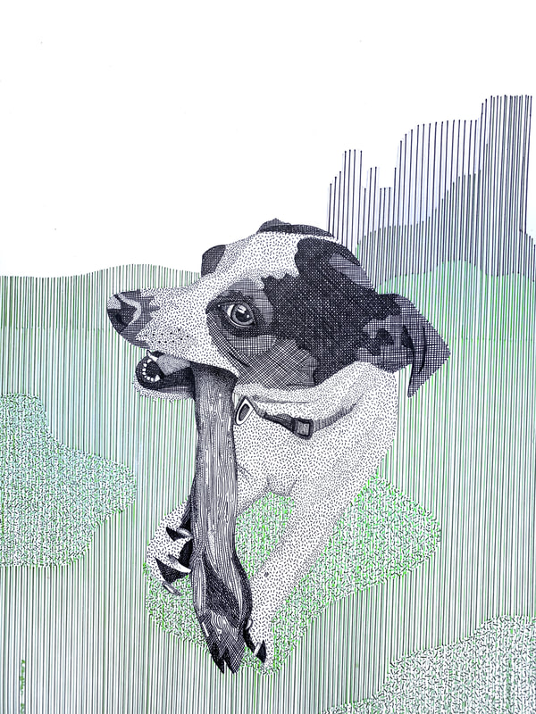 Line drawing of a black and white terrier dog chewing a stick. The drawing uses fine lines and various mark making to build up texture and tone on the dogs fur alongside coloured fine liner pens to bring greens and blues into the grass and hills. 